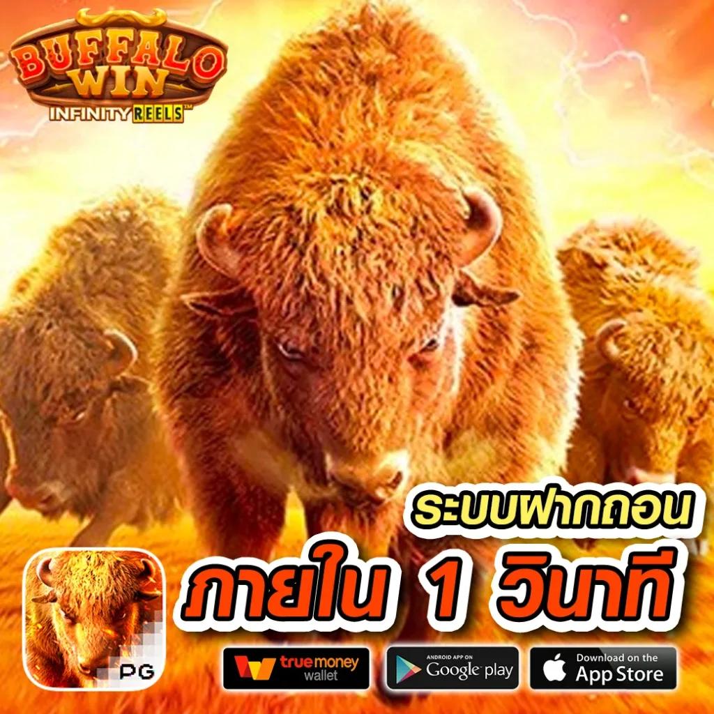 pg slot wallet เว็บตรง สล็อต ฝากถอนออโต้ ไม่ผ่านเอเย่นต์ 2026